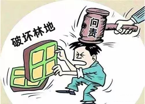 編ԺǷռũõأ̣