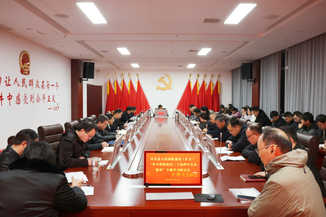 内乡法院召开党组（扩大）会议专题学习贯彻党的二十届四中全会精神